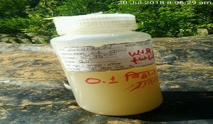 You are currently viewing Sediment Study of Bheri 4 Storage Hydroelecticity Project